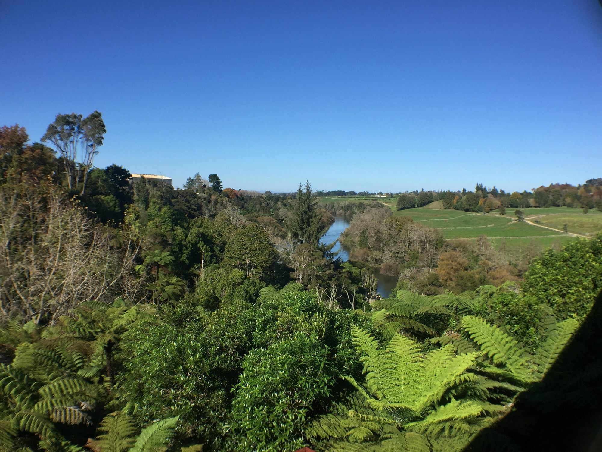 המילטון Luxury Country Views In Riverlea מראה חיצוני תמונה